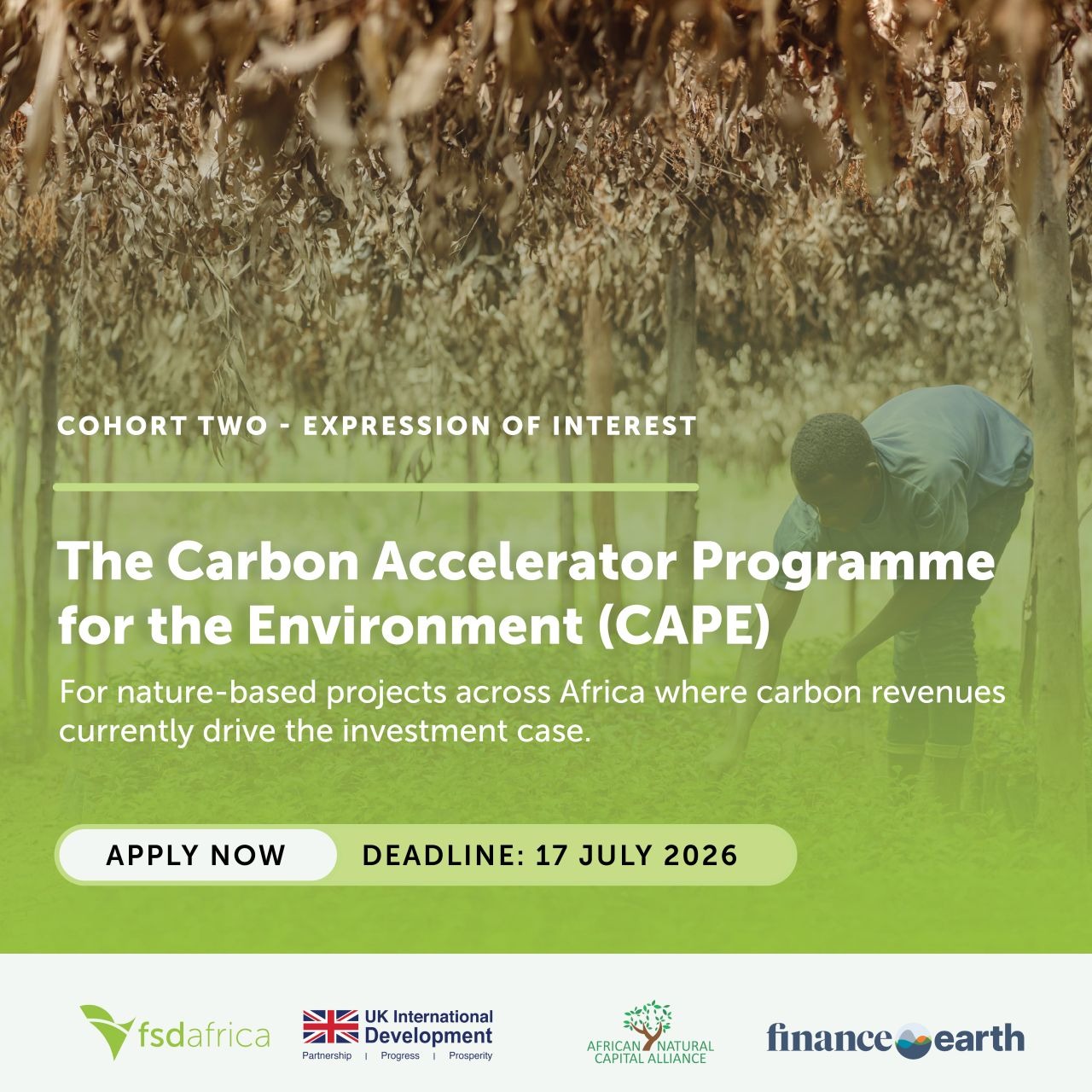 Carbon Accelerator Programme