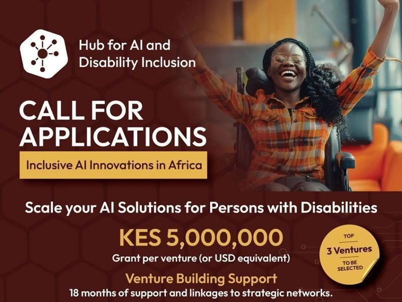 HAIDI Inclusive AI Innovations in Africa Program 2026
